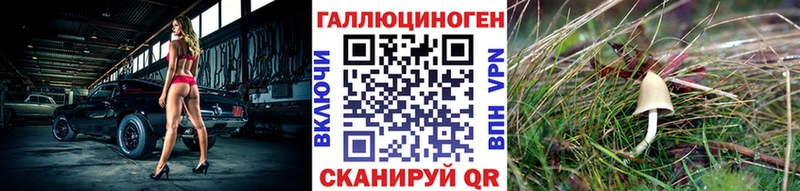 цены   Котовск  Псилоцибиновые грибы MAGIC MUSHROOMS 