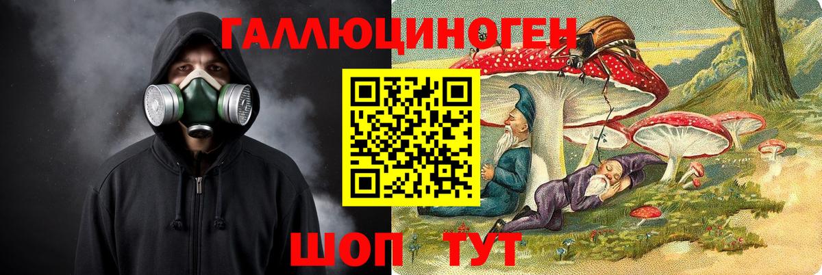 Котовск  Псилоцибиновые грибы Cubensis  Вход с VPN 
