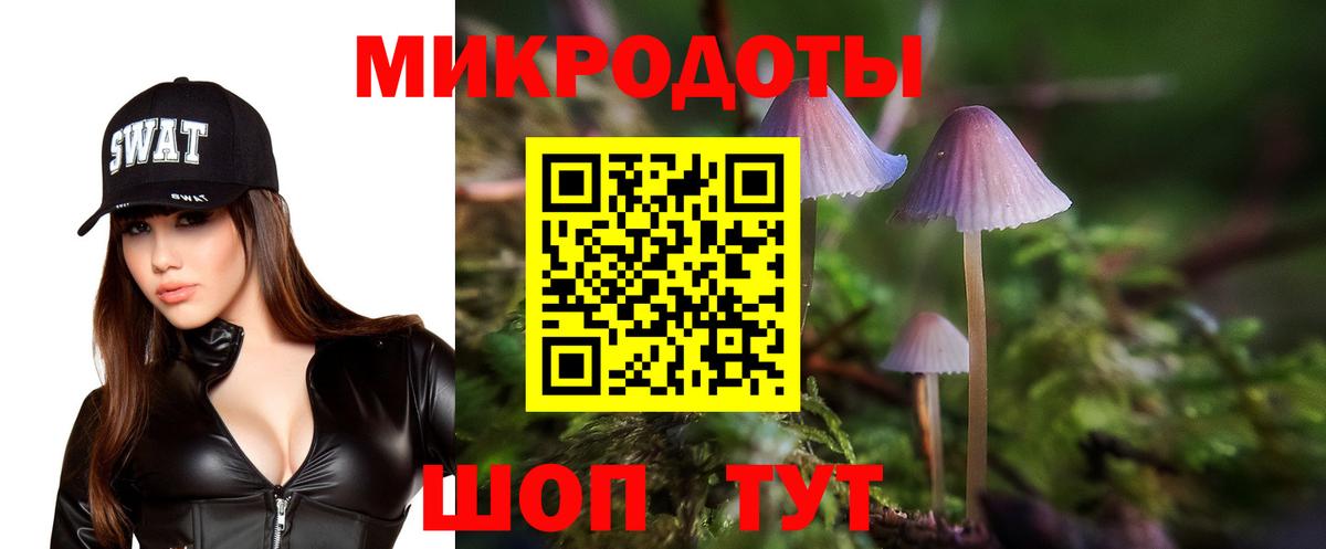 Галлюциногенные грибы Psilocybe Котовск
